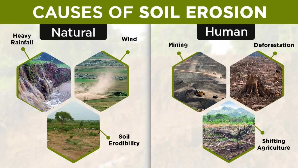 Causes of Soil Erosion