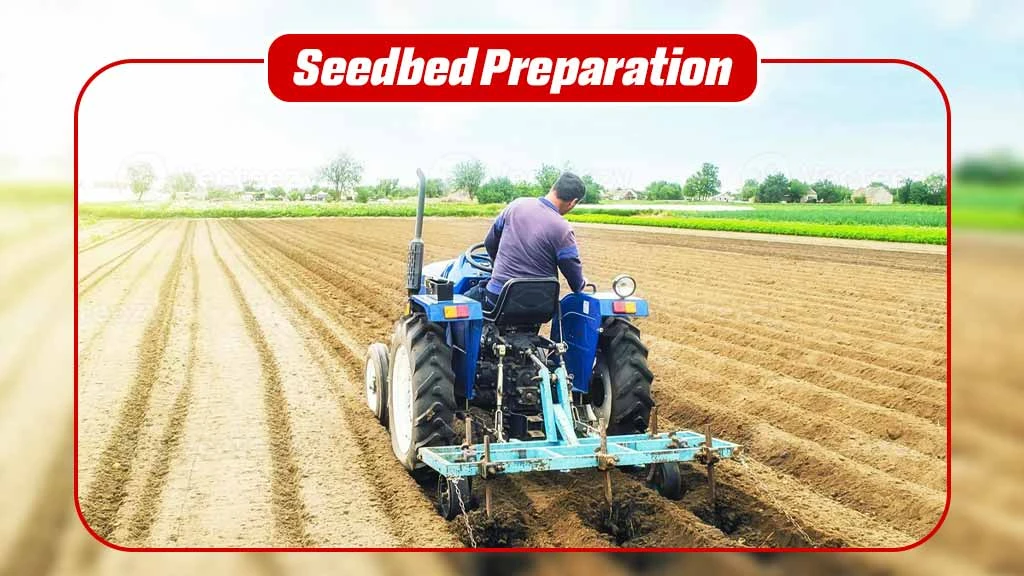 Land Preparation Steps - Seedbed Preparation