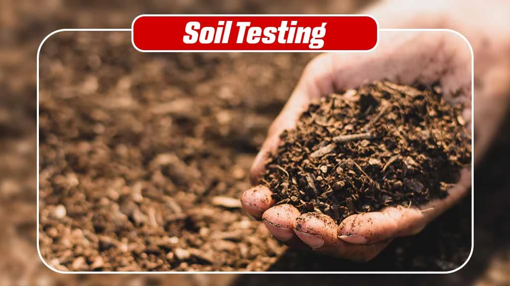 Land Preparation Steps - Soil Testing