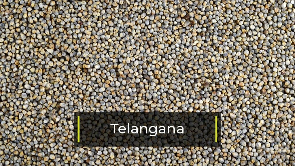 Top Bajra Producing States - Telangana