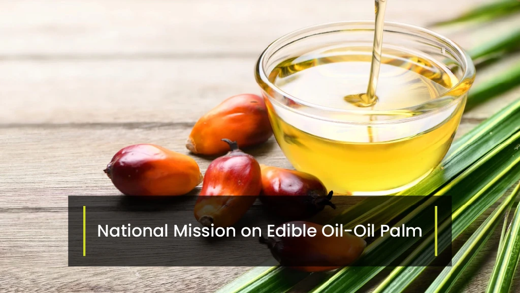 Top Agriculture Schemes - National Mission on Edible Oil-Oil Palm