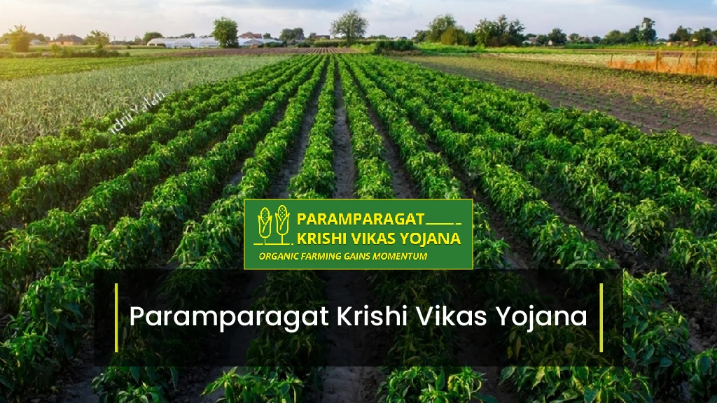 Top Agriculture Schemes - Paramparagat Krishi Vikas Yojana