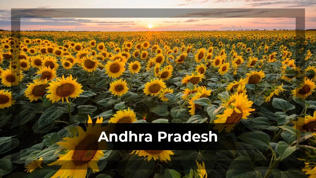 Top Crop Producing States - Andhra Pradesh