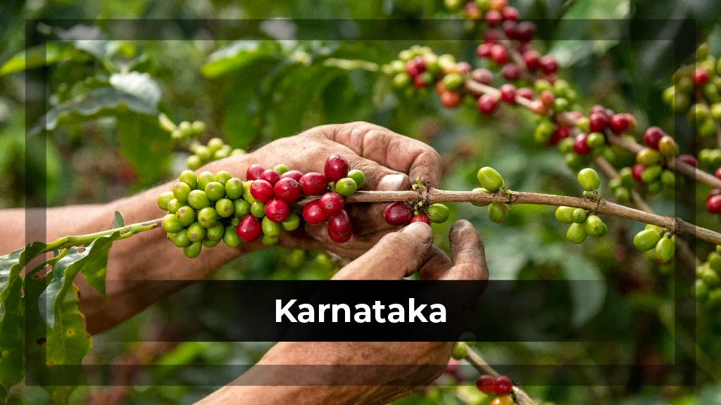 Top Crop Producing States - Karnataka