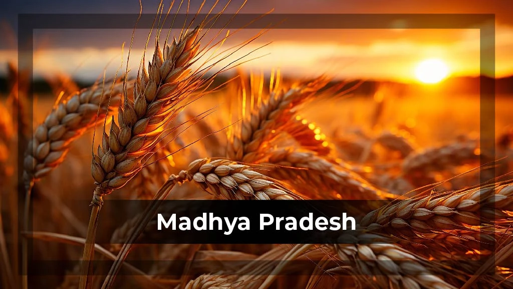 Top Crop Producing States - Madhya Pradesh
