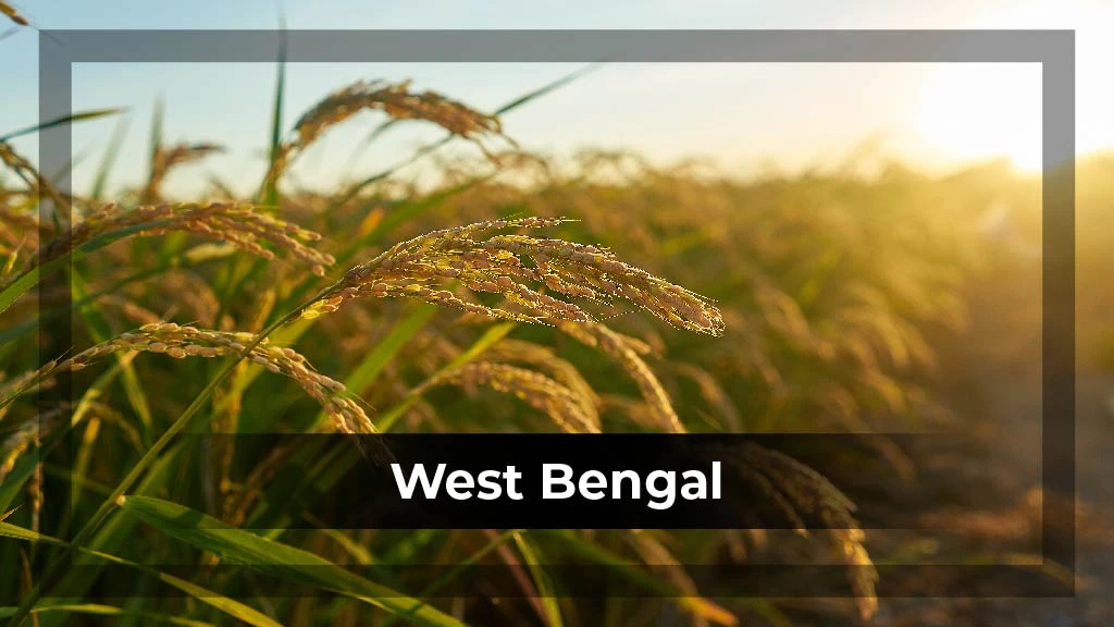 Top Crop Producing States - West Bengal