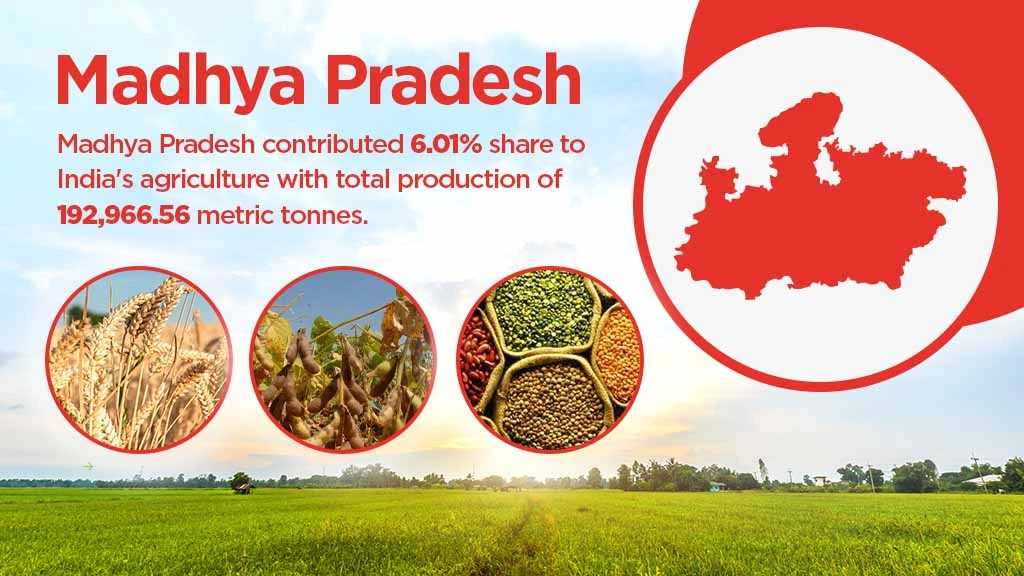 Top agriculture producing states - Madhya Pradesh