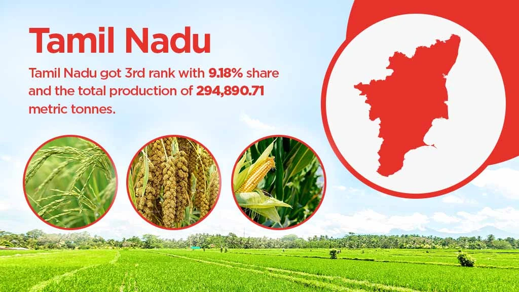 Top agriculture producing states - Tamil Nadu