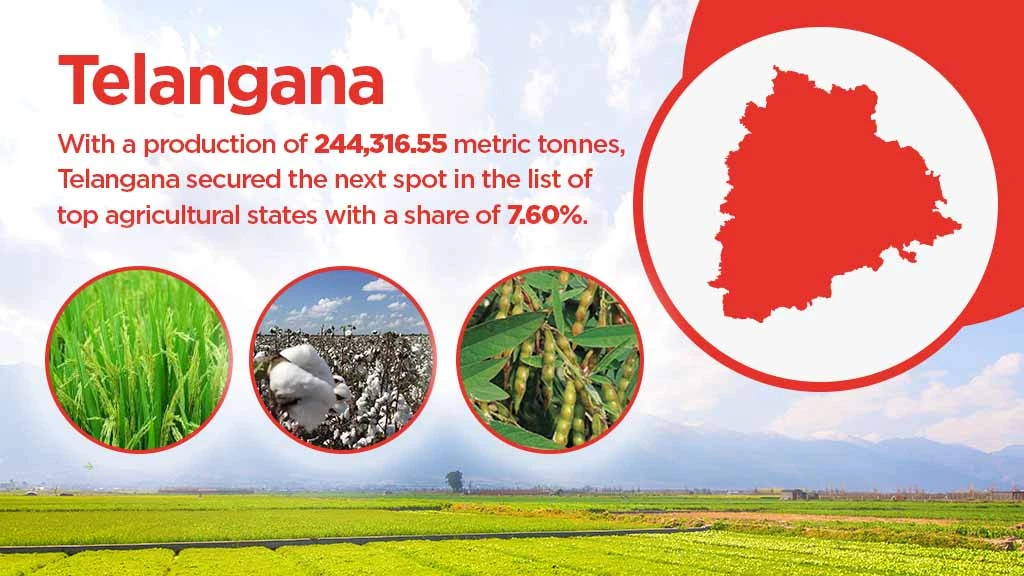 Top agriculture producing states - Telangana