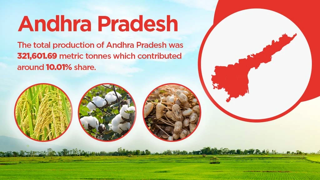 Top agriculture producing states - Andhra Pradesh