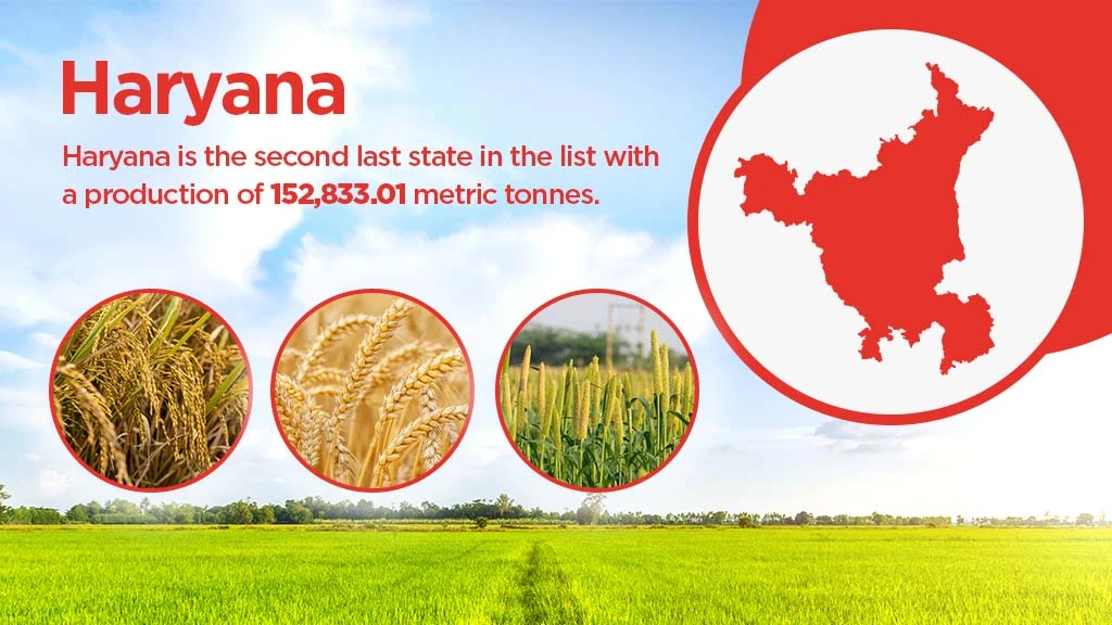 Top agriculture producing states - Haryana