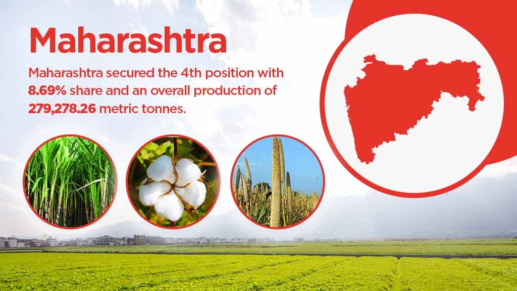 Top agriculture producing states - Maharashtra
