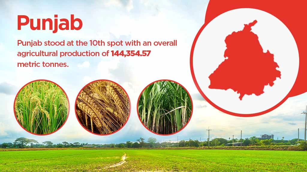 Top agriculture producing states - Punjab