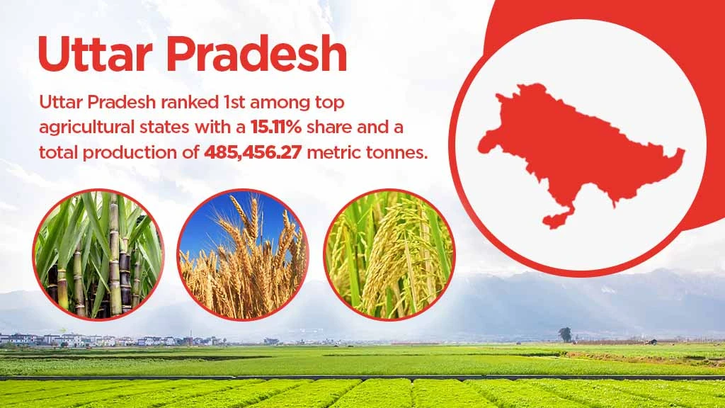 Top agriculture producing states - Uttar Pradesh