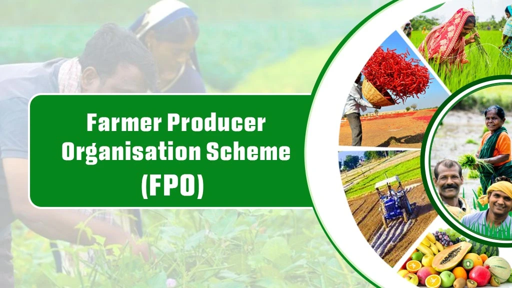 Central Government Scheme - Farmer Producer Organisation