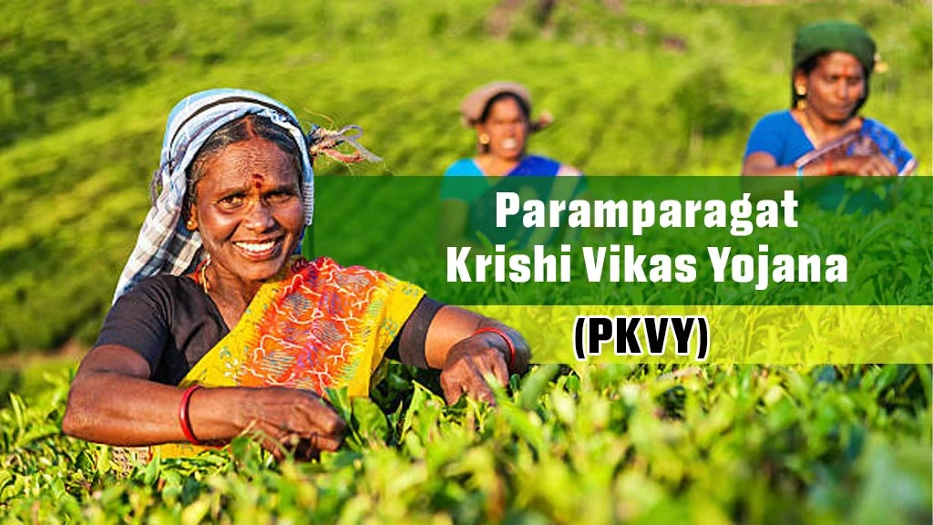 Central Government Scheme - Paramparagat Krishi Vikas Yojana