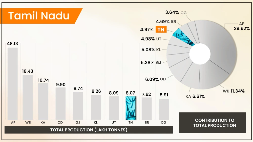 Top Fish Producing States in India - Tamil Nadu