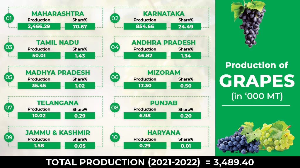 Top 10 Grapes Producing States in India Tractorkarvan