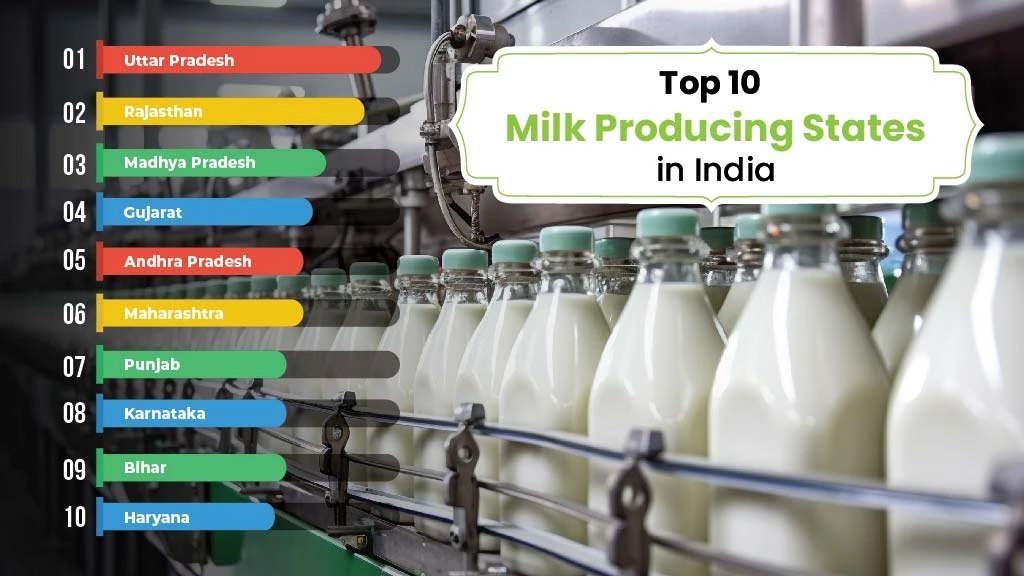 Top 10 Milk Producing States in India 2024
