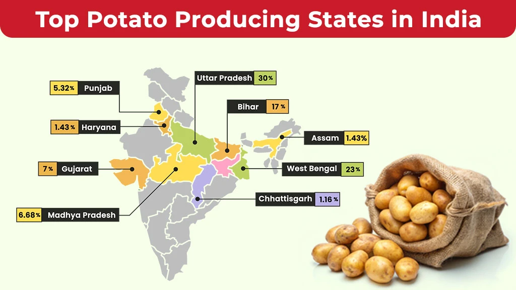 Top 10 Potato Producing States in India