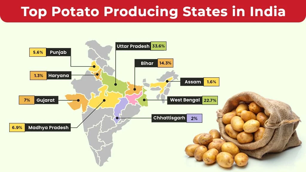 Top Potato Producing States in India 2025