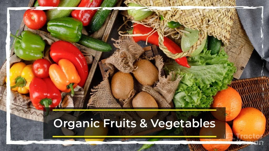 Top Profitable Business to start in rural India - Organic Fruits and Vegetables