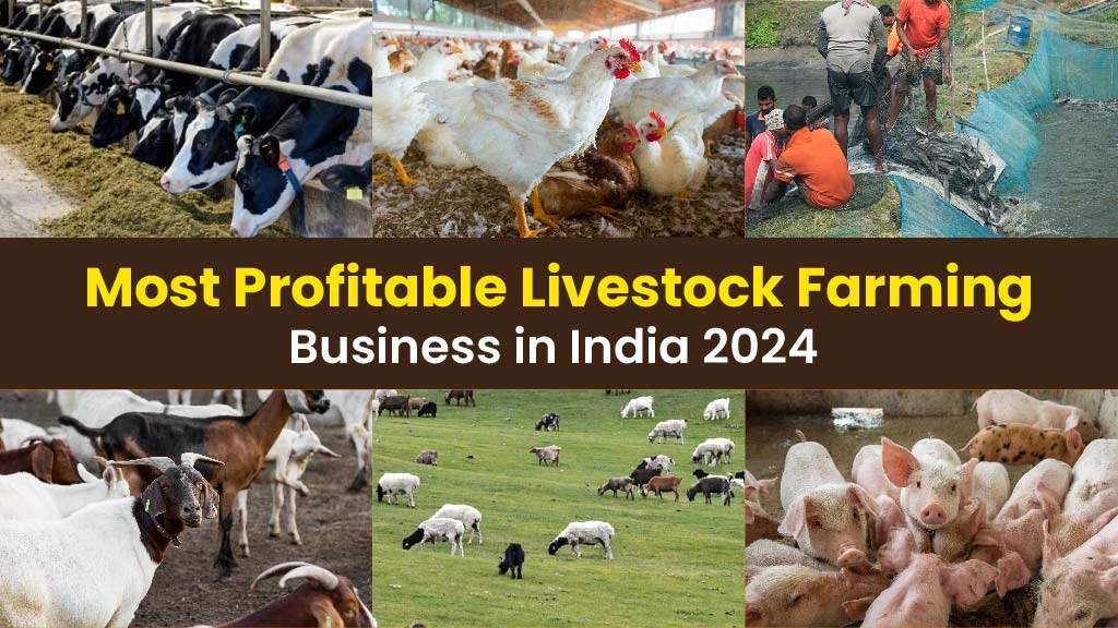 Most Profitable Livestock Farming Business in India 2024