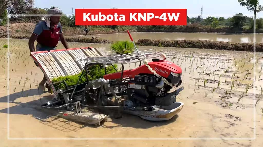 Top Rice Transplanters-Kubota KNP-4W