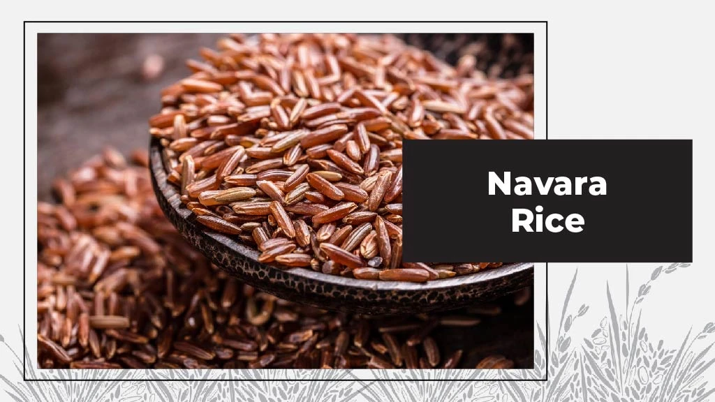 Navara Rice