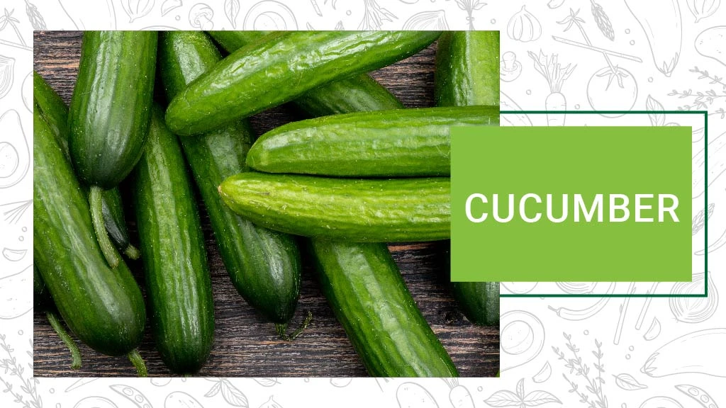 Top Summer Vegetables - Cucumber