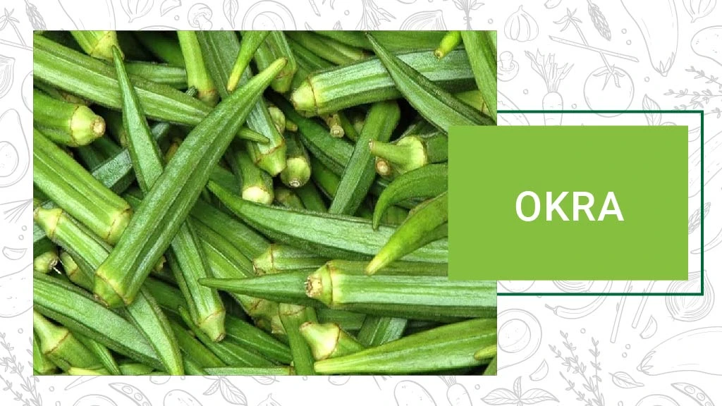 Top Summer Vegetables - Okra