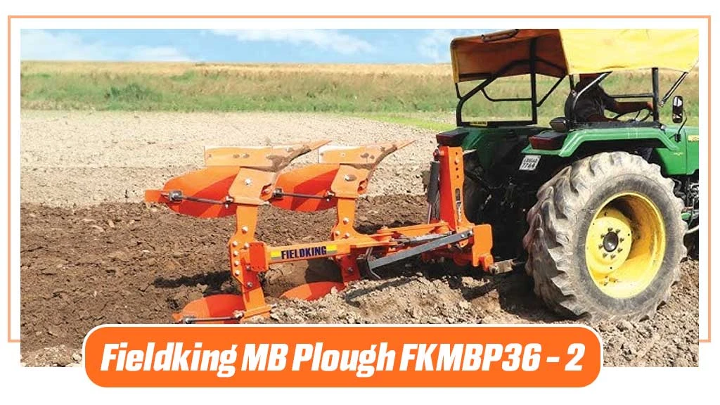 Top Plough - Fieldking MB Plough FKMBP36 - 2