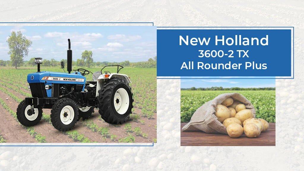 Top Potato Farming Tractors - New Holland 3600-2 TX All Rounder Plus