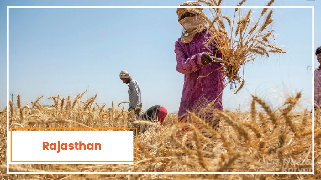 Top Wheat Producing States - Rajasthan