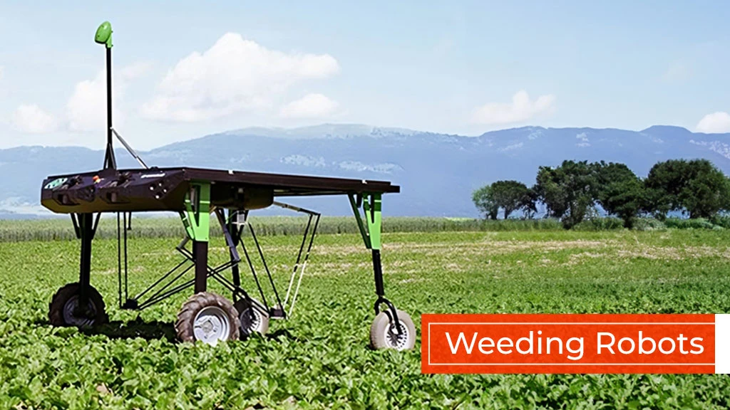 Agriculture Robot Types - Weeding Robots