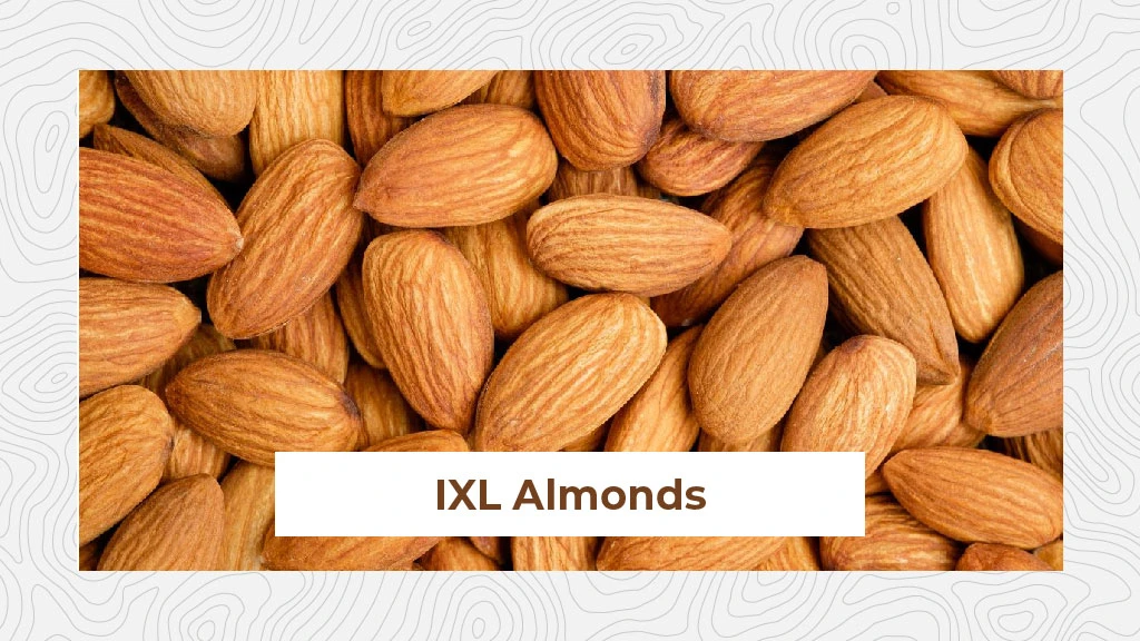 Top Almond Variety - IXL Almonds