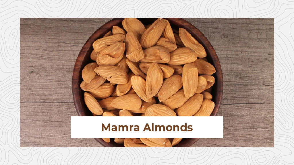 Top Almond Variety - Mamra Almonds