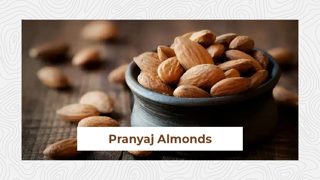 Top Almond Variety - Pranyaj Almonds