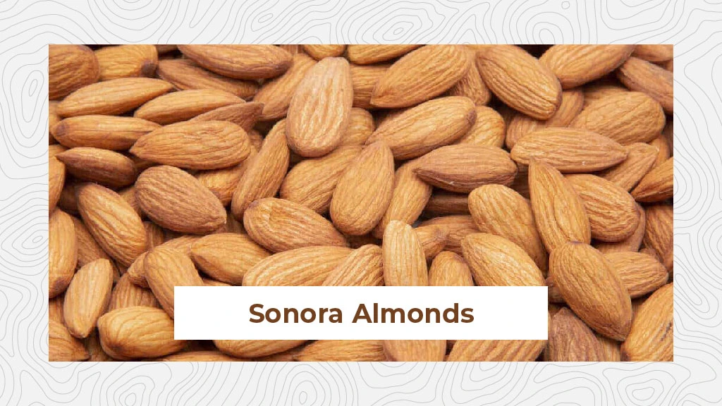 Top Almond Variety - Sonora Almonds
