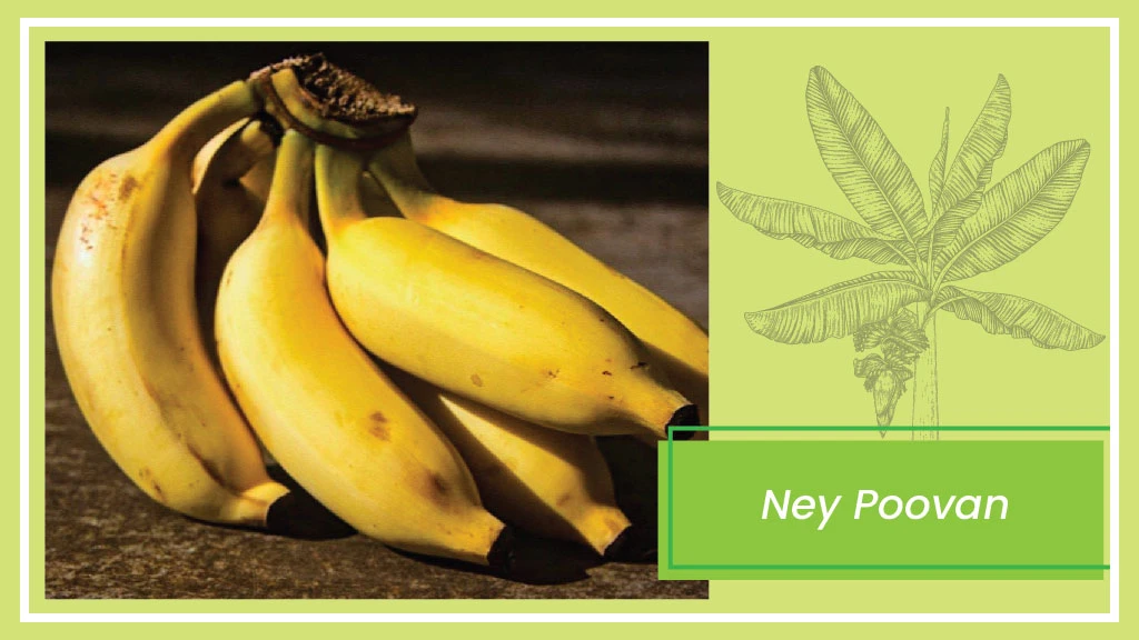 Banana Varieties - Ney Poovan