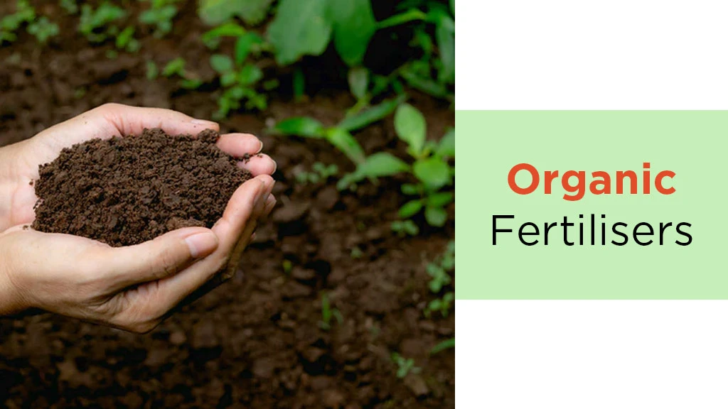 Fertiliser type - organic