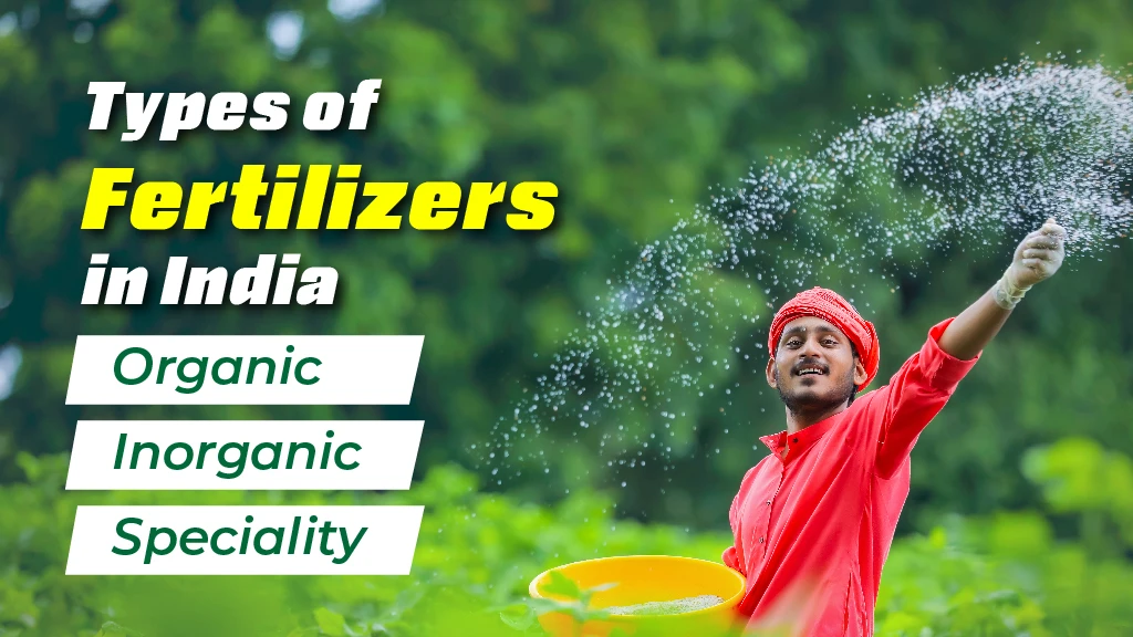 Types of Fertilisers Used in Agriculture in India and their Importance