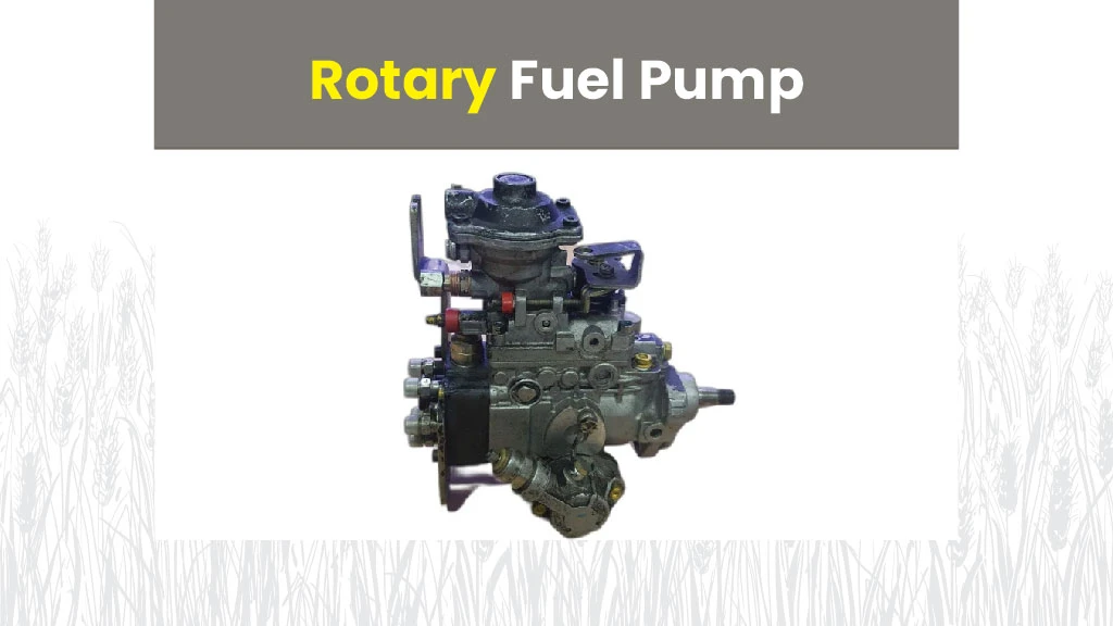 Fuel Pump Types - Rotary