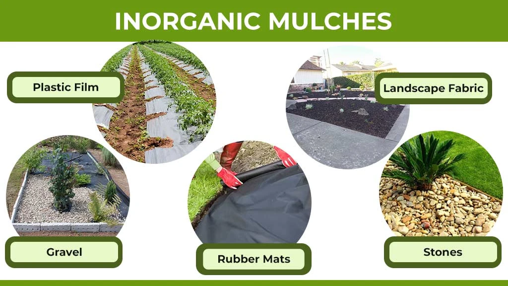 Types of Mulching - Inorganic Mulches