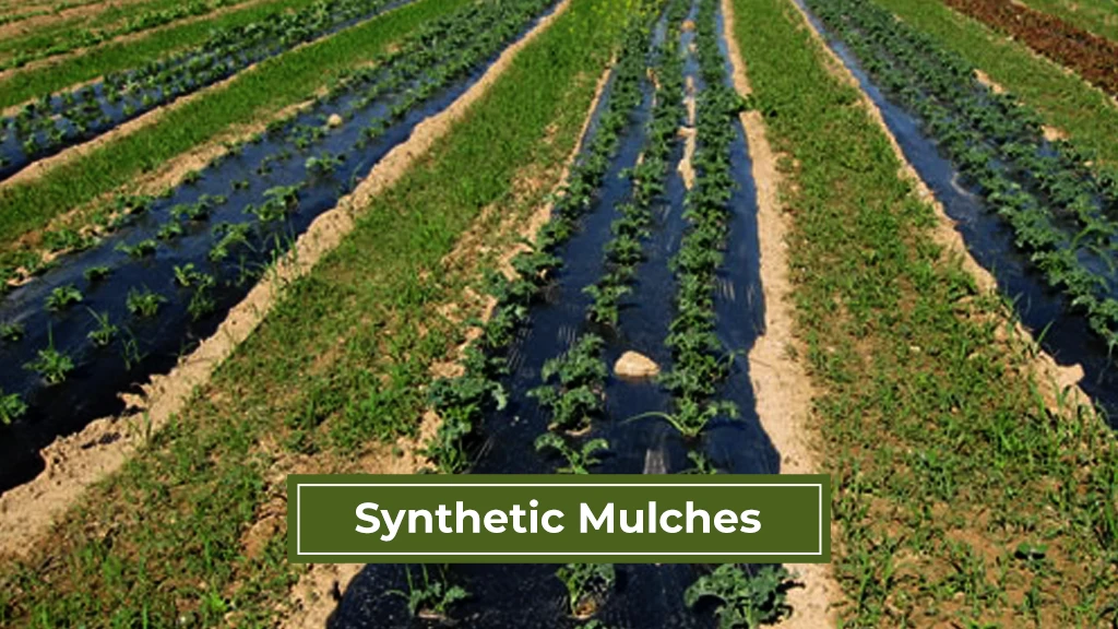 Mulch Types - Synthetic Mulches