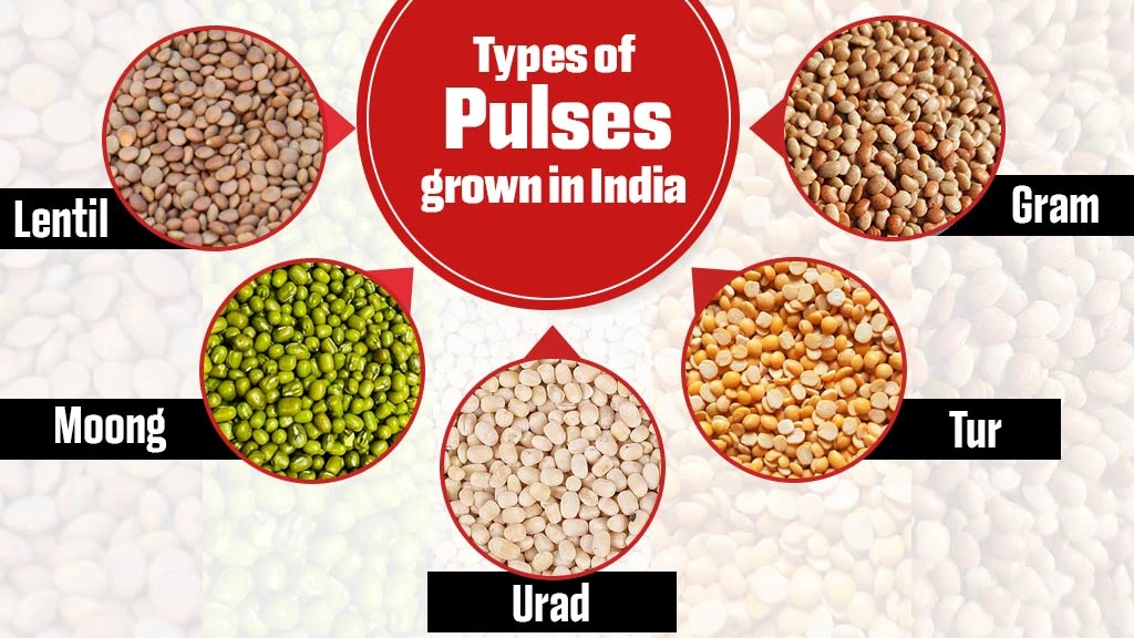 Variety Of Pulses