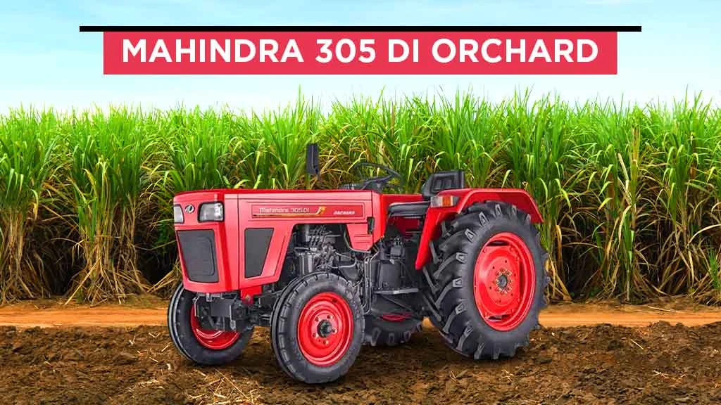 Top Under 30 HP Tractors - Mahindra 305 DI Orchard