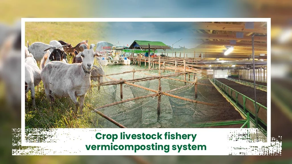 Intgerated Livestock Farming System - Crop livestock fishery biogas/vermicomposting system