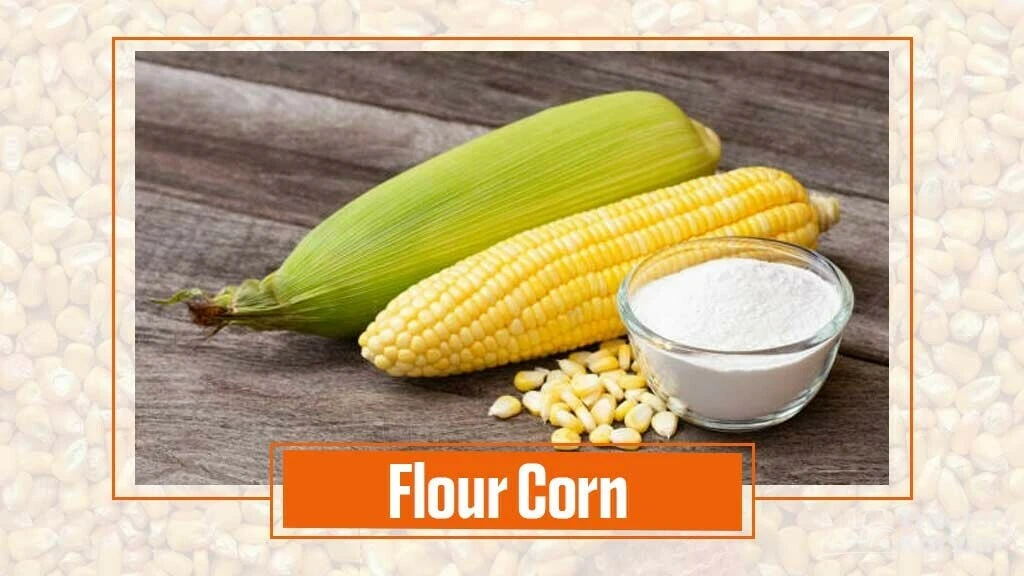 Types of Maize- Flour corn