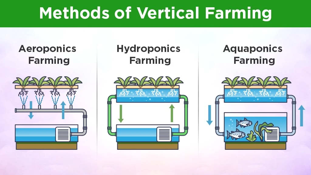 The Popular Methods of Vertical Farming